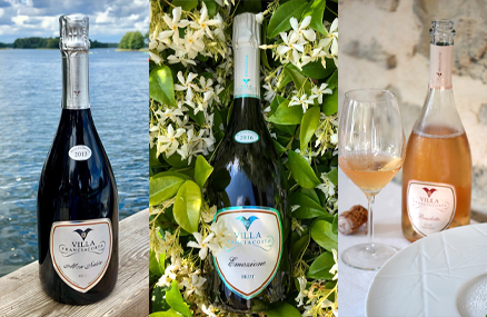 Degustazione Villa Franciacorta